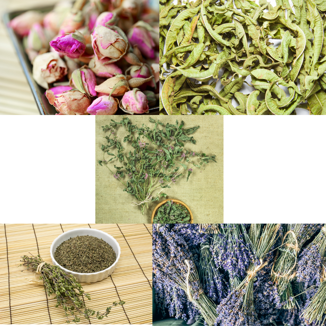 plant sech aroma